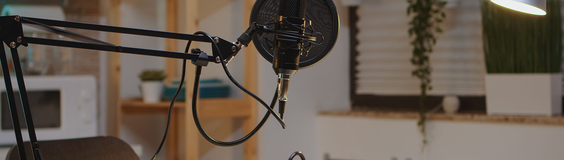 Studio microphone background